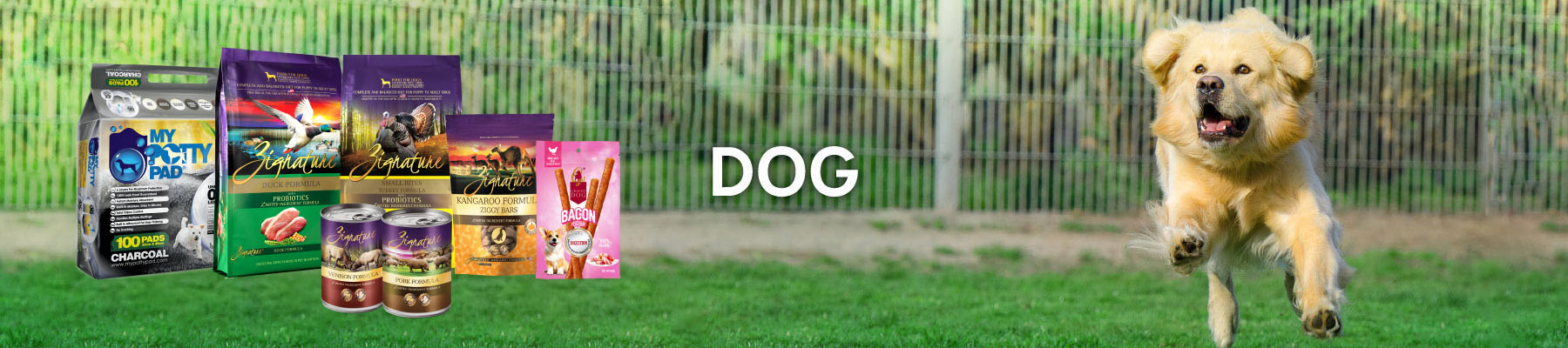 dog page